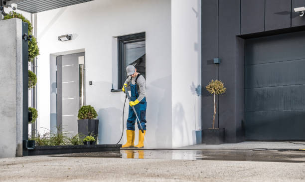 Best Rust Removal  in Bloomgton, IN